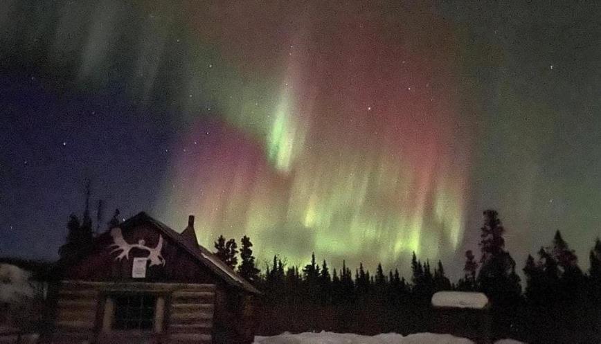 Mount Logan Ecolodge & Retreat Center Haines Junction Luaran gambar