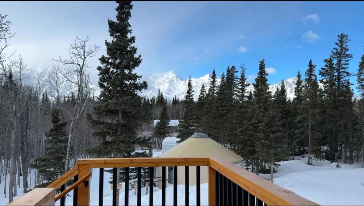 Mount Logan Ecolodge & Retreat Center Haines Junction Luaran gambar